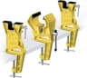 Ski Vise World Cup
