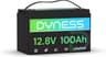 Dyness LiFePO4 100Ah