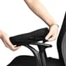 Aloudy Imbottiture ergonomiche