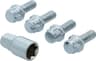 Bulloni antifurto Carpoint