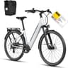Quartz E Bike