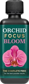 Orchid Focus