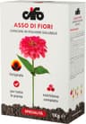 CIFO Asso di Fiori