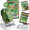 zengreens Kit germogli bio