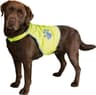 Maglia riflettente per cani
