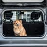 Heldenwerk divisoria auto per cani