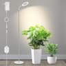 Lampada LED per piante