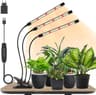 3 teste di luce per piante