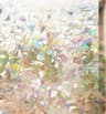 Pellicola privacy 3D arcobaleno
