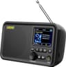 Leicke Radio DAB
