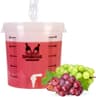Secchio fermentazione 30L