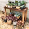 Panca da giardino per esterni e interni