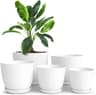 Utopia Home Fioriere