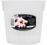 Vaso Trasparente Orchidee