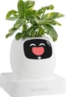 PLANTSIO Ivy Smart